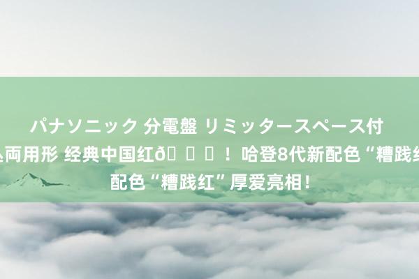 パナソニック 分電盤 リミッタースペース付 露出・半埋込両用形 经典中国红👀！哈登8代新配色“糟践红”厚爱亮相！