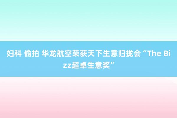 妇科 偷拍 华龙航空荣获天下生意归拢会“The Bizz超卓生意奖”