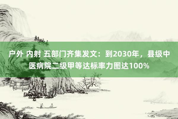 户外 内射 五部门齐集发文：到2030年，县级中医病院二级甲等达标率力图达100%