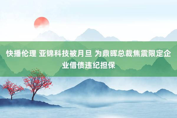 快播伦理 亚锦科技被月旦 为鼎晖总裁焦震限定企业借债违纪担保