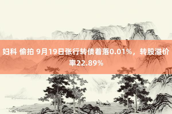 妇科 偷拍 9月19日张行转债着落0.01%，转股溢价率22.89%