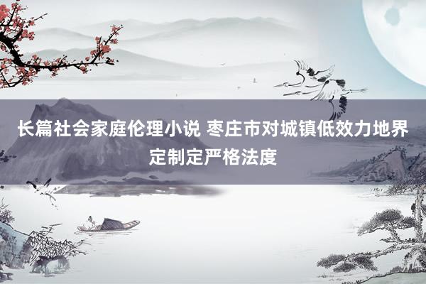 长篇社会家庭伦理小说 枣庄市对城镇低效力地界定制定严格法度