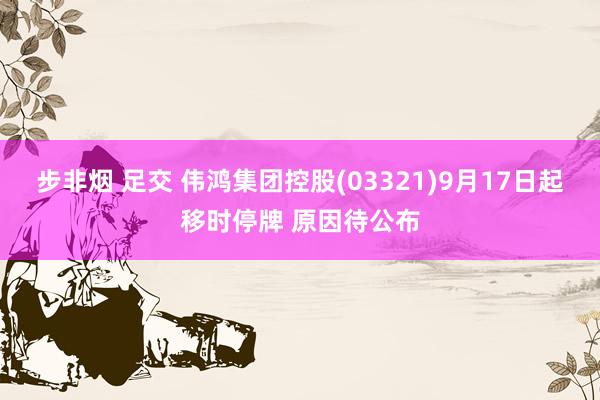 步非烟 足交 伟鸿集团控股(03321)9月17日起移时停牌 原因待公布