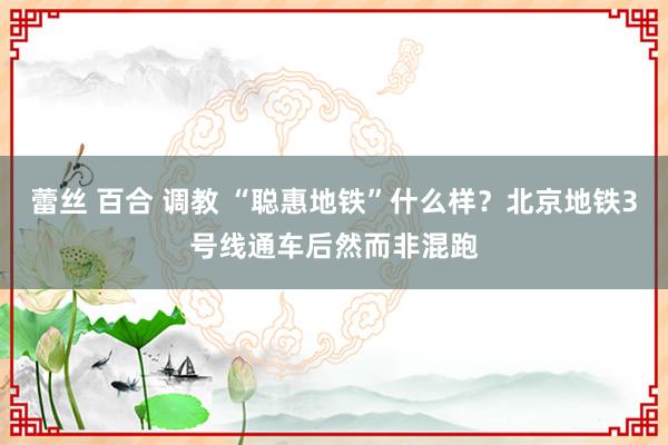 蕾丝 百合 调教 “聪惠地铁”什么样？北京地铁3号线通车后然而非混跑