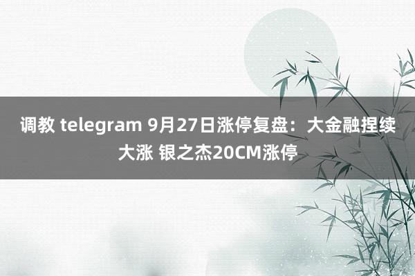 调教 telegram 9月27日涨停复盘：大金融捏续大涨 银之杰20CM涨停