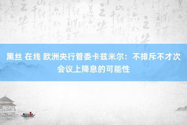 黑丝 在线 欧洲央行管委卡兹米尔：不排斥不才次会议上降息的可能性