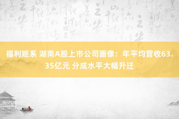 福利姬系 湖南A股上市公司画像：年平均营收63.35亿元 分成水平大幅升迁