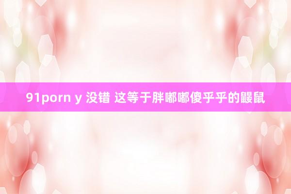 91porn y 没错 这等于胖嘟嘟傻乎乎的鼹鼠