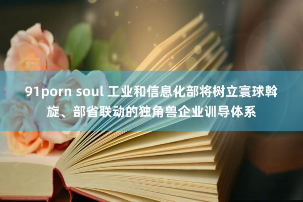 91porn soul 工业和信息化部将树立寰球斡旋、部省联动的独角兽企业训导体系