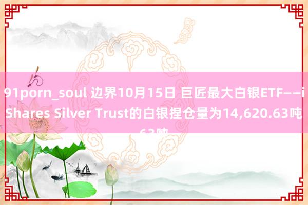 91porn_soul 边界10月15日 巨匠最大白银ETF——iShares Silver Trust的白银捏仓量为14，620.63吨