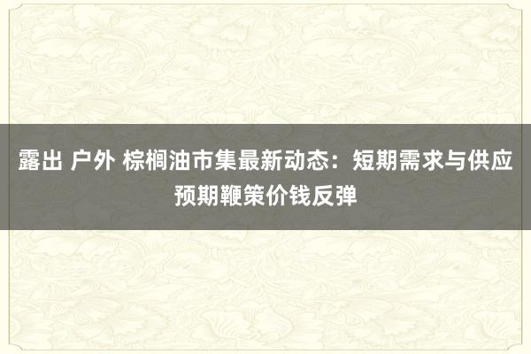 露出 户外 棕榈油市集最新动态：短期需求与供应预期鞭策价钱反弹