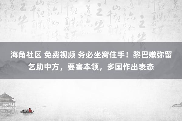 海角社区 免费视频 务必坐窝住手！黎巴嫩弥留乞助中方，要害本领，多国作出表态