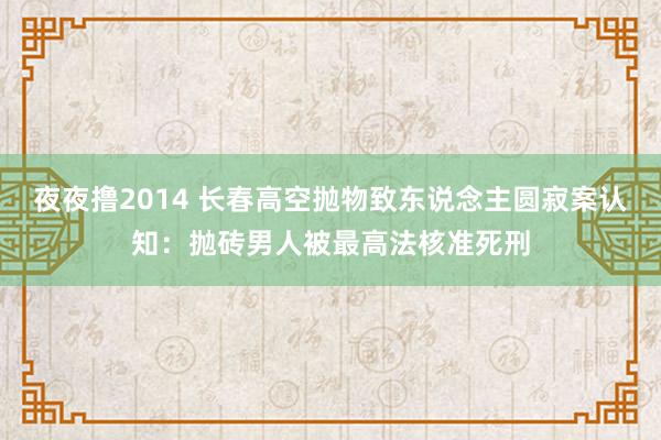 夜夜撸2014 长春高空抛物致东说念主圆寂案认知：抛砖男人被最高法核准死刑