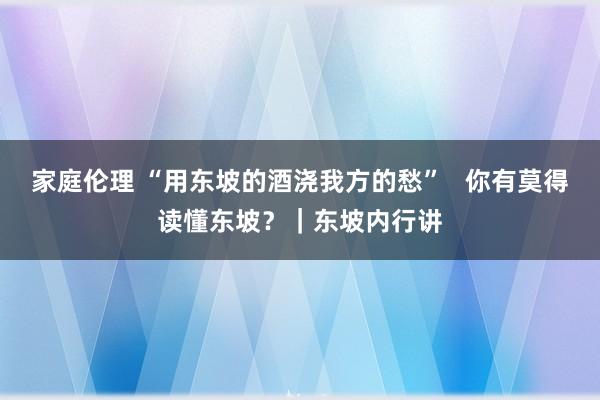 家庭伦理 “用东坡的酒浇我方的愁”   你有莫得读懂东坡？｜东坡内行讲