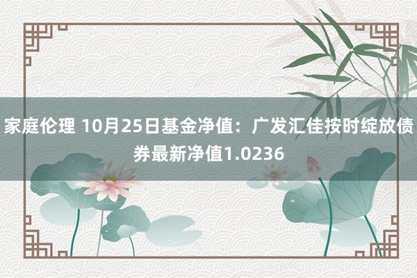 家庭伦理 10月25日基金净值：广发汇佳按时绽放债券最新净值1.0236