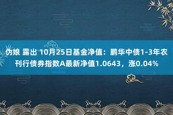 伪娘 露出 10月25日基金净值：鹏华中债1-3年农刊行债券指数A最新净值1.0643，涨0.04%