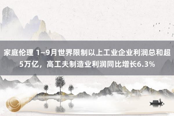 家庭伦理 1—9月世界限制以上工业企业利润总和超5万亿，高工夫制造业利润同比增长6.3%