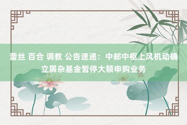 蕾丝 百合 调教 公告速递：中邮中枢上风机动确立羼杂基金暂停大额申购业务