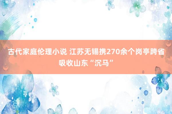 古代家庭伦理小说 江苏无锡携270余个岗亭跨省吸收山东“沉马”