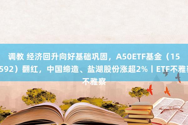 调教 经济回升向好基础巩固，A50ETF基金（159592）翻红，中国缔造、盐湖股份涨超2%丨ETF不雅察