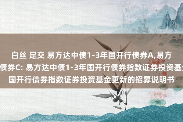 白丝 足交 易方达中债1-3年国开行债券A，易方达中债1-3年国开行债券C: 易方达中债1-3年国开行债券指数证券投资基金更新的招募说明书