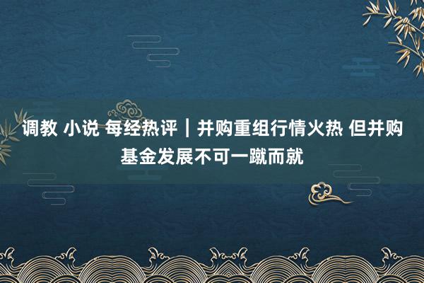 调教 小说 每经热评︱并购重组行情火热 但并购基金发展不可一蹴而就