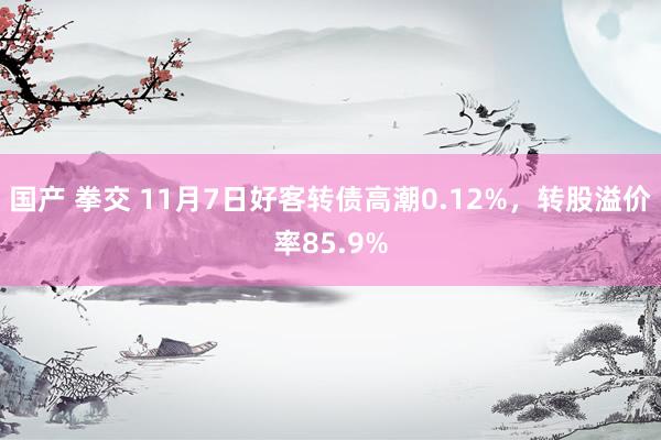 国产 拳交 11月7日好客转债高潮0.12%，转股溢价率85.9%