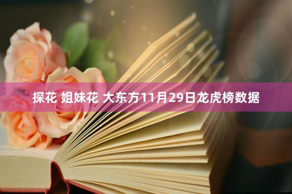 探花 姐妹花 大东方11月29日龙虎榜数据