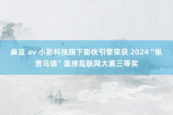 麻豆 av 小影科技旗下影伙引擎荣获 2024“纵贯乌镇”寰球互联网大赛三等奖