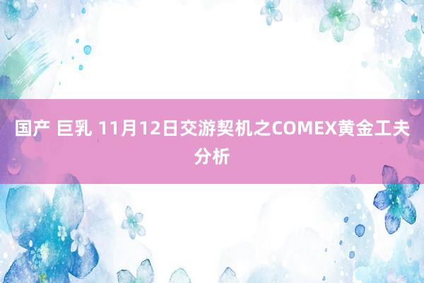 国产 巨乳 11月12日交游契机之COMEX黄金工夫分析