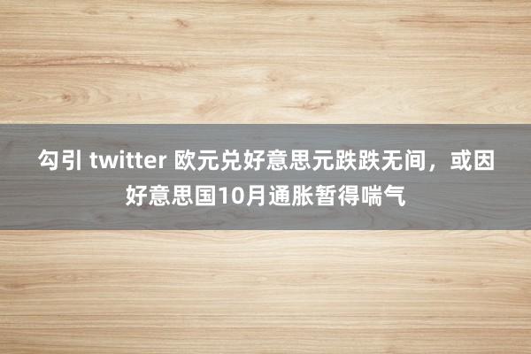 勾引 twitter 欧元兑好意思元跌跌无间，或因好意思国10月通胀暂得喘气