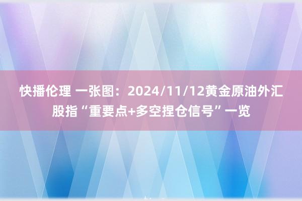 快播伦理 一张图：2024/11/12黄金原油外汇股指“重要点+多空捏仓信号”一览