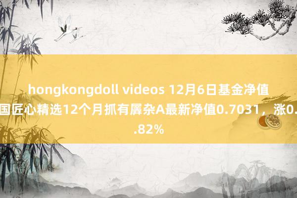 hongkongdoll videos 12月6日基金净值：富国匠心精选12个月抓有羼杂A最新净值0.7031，涨0.82%