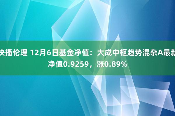 快播伦理 12月6日基金净值：大成中枢趋势混杂A最新净值0.9259，涨0.89%