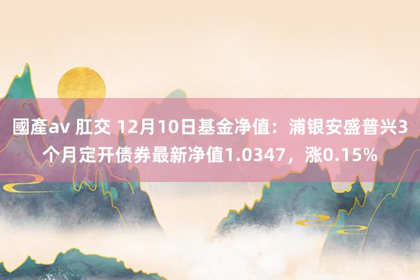 國產av 肛交 12月10日基金净值：浦银安盛普兴3个月定开债券最新净值1.0347，涨0.15%