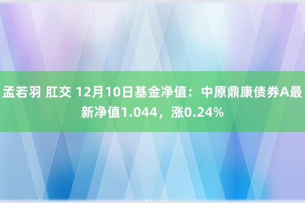 孟若羽 肛交 12月10日基金净值：中原鼎康债券A最新净值1.044，涨0.24%