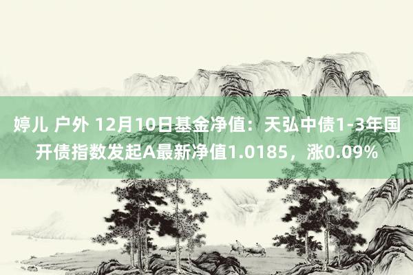 婷儿 户外 12月10日基金净值：天弘中债1-3年国开债指数发起A最新净值1.0185，涨0.09%