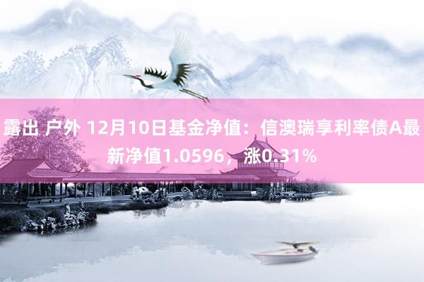 露出 户外 12月10日基金净值：信澳瑞享利率债A最新净值1.0596，涨0.31%