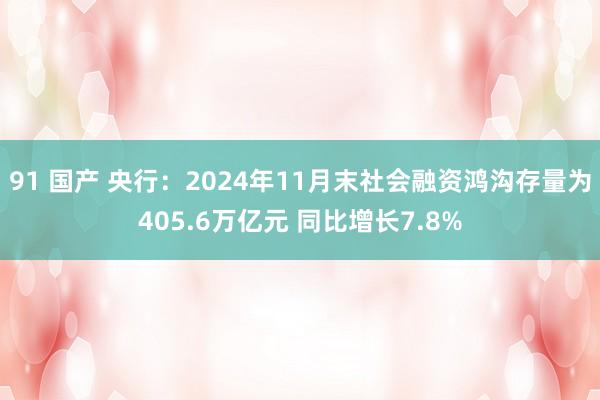 91 国产 央行：2024年11月末社会融资鸿沟存量为405.6万亿元 同比增长7.8%