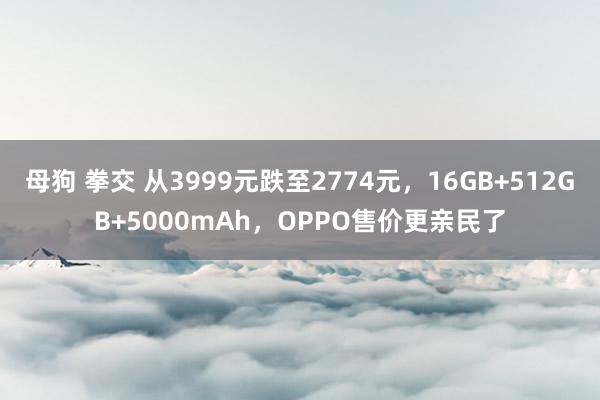 母狗 拳交 从3999元跌至2774元，16GB+512GB+5000mAh，OPPO售价更亲民了