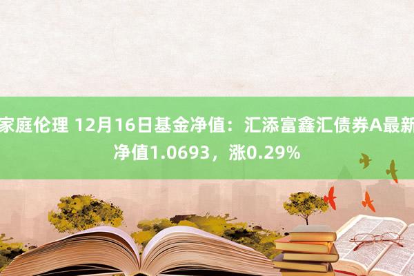 家庭伦理 12月16日基金净值：汇添富鑫汇债券A最新净值1.0693，涨0.29%