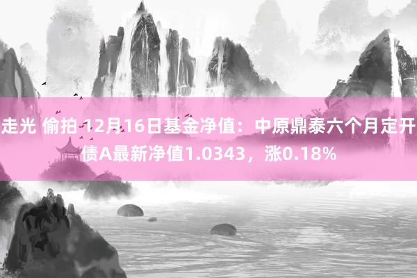 走光 偷拍 12月16日基金净值：中原鼎泰六个月定开债A最新净值1.0343，涨0.18%