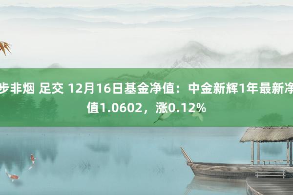 步非烟 足交 12月16日基金净值：中金新辉1年最新净值1.0602，涨0.12%