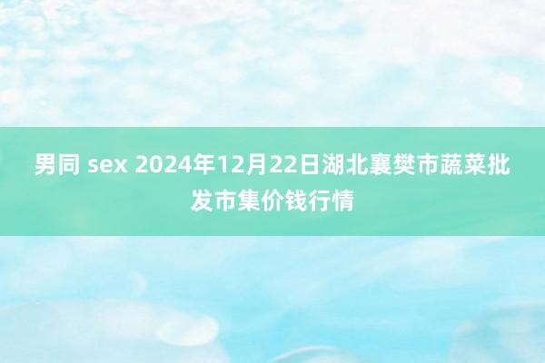 男同 sex 2024年12月22日湖北襄樊市蔬菜批发市集价钱行情