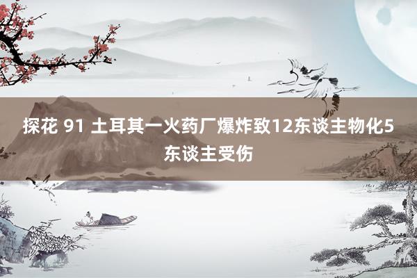 探花 91 土耳其一火药厂爆炸致12东谈主物化5东谈主受伤