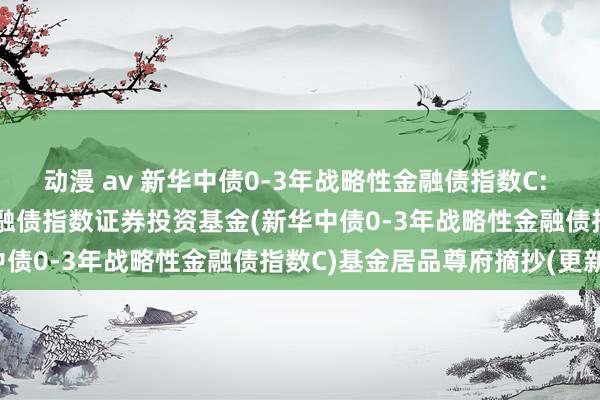 动漫 av 新华中债0-3年战略性金融债指数C: 新华中债0-3年战略性金融债指数证券投资基金(新华中债0-3年战略性金融债指数C)基金居品尊府摘抄(更新)