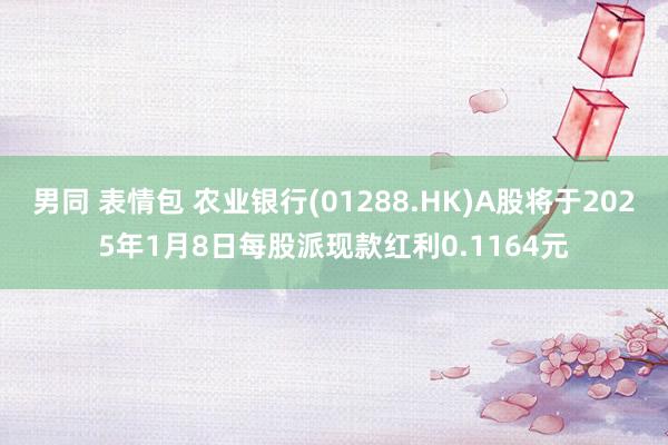 男同 表情包 农业银行(01288.HK)A股将于2025年1月8日每股派现款红利0.1164元