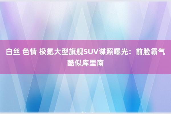 白丝 色情 极氪大型旗舰SUV谍照曝光：前脸霸气酷似库里南