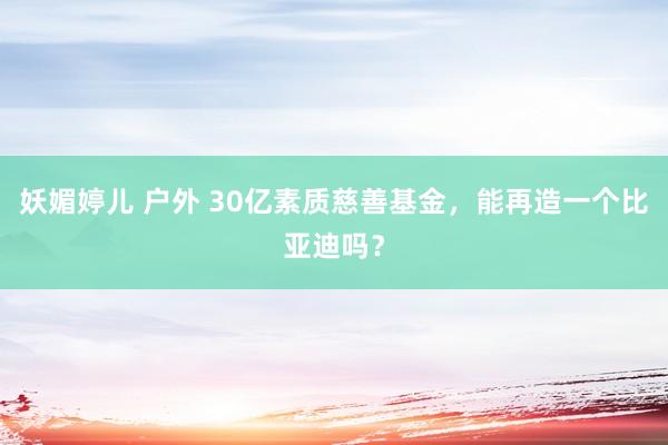 妖媚婷儿 户外 30亿素质慈善基金，能再造一个比亚迪吗？