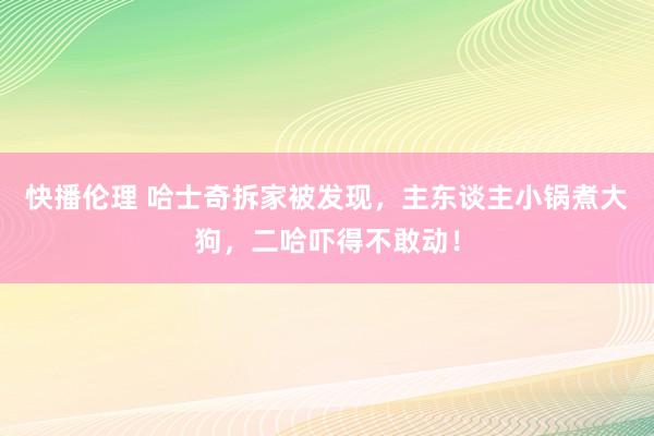 快播伦理 哈士奇拆家被发现，主东谈主小锅煮大狗，二哈吓得不敢动！